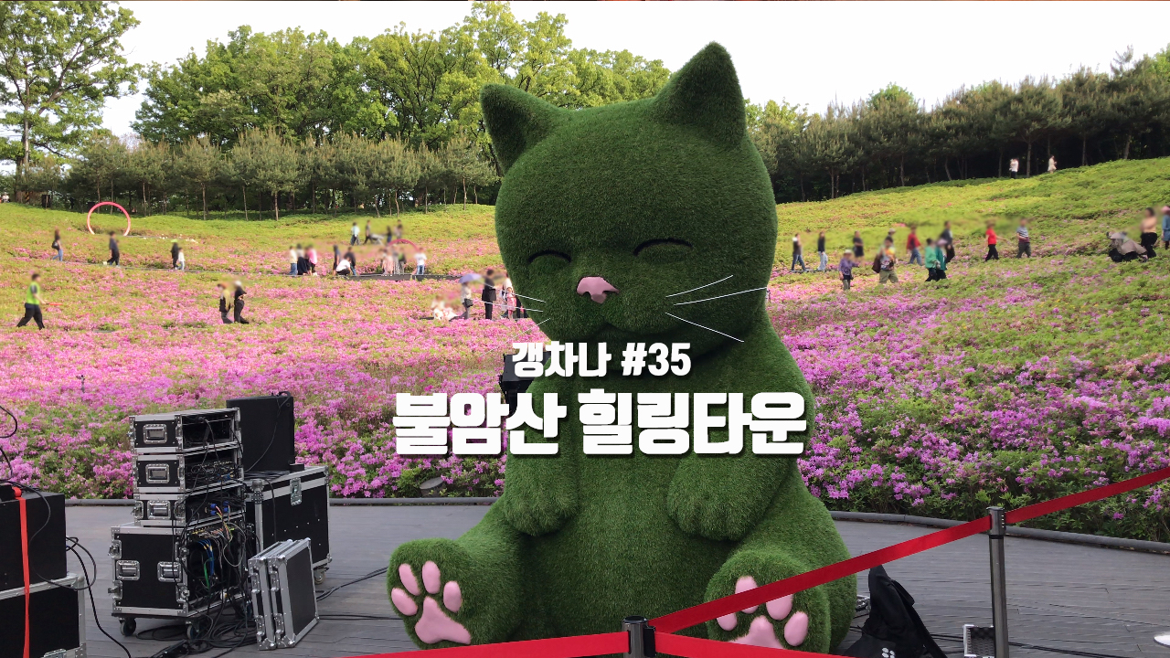 [갱년기라도 괜찮아 : 갱차나] 불암산 힐링타운의 봄과 여름 (feat.불암산 철쭉제 2024)