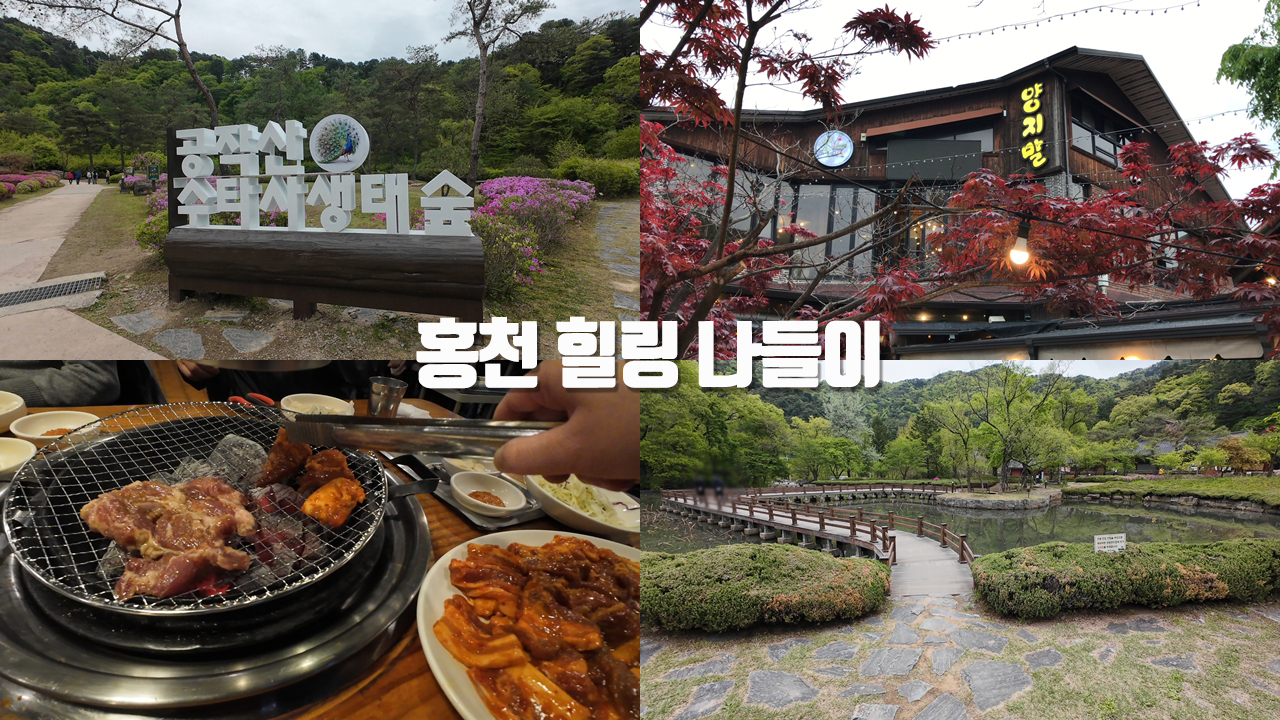 [갱년기라도 괜찮아 : 갱차나] 홍천 힐링 나들이 코스 – 공작산 수타사 생태숲 걷기 (+ 야생화 공부) | 홍천 산나물축제 | ‘양지말화로구이’에서 홍천 대표 향토음식 맛보기 |