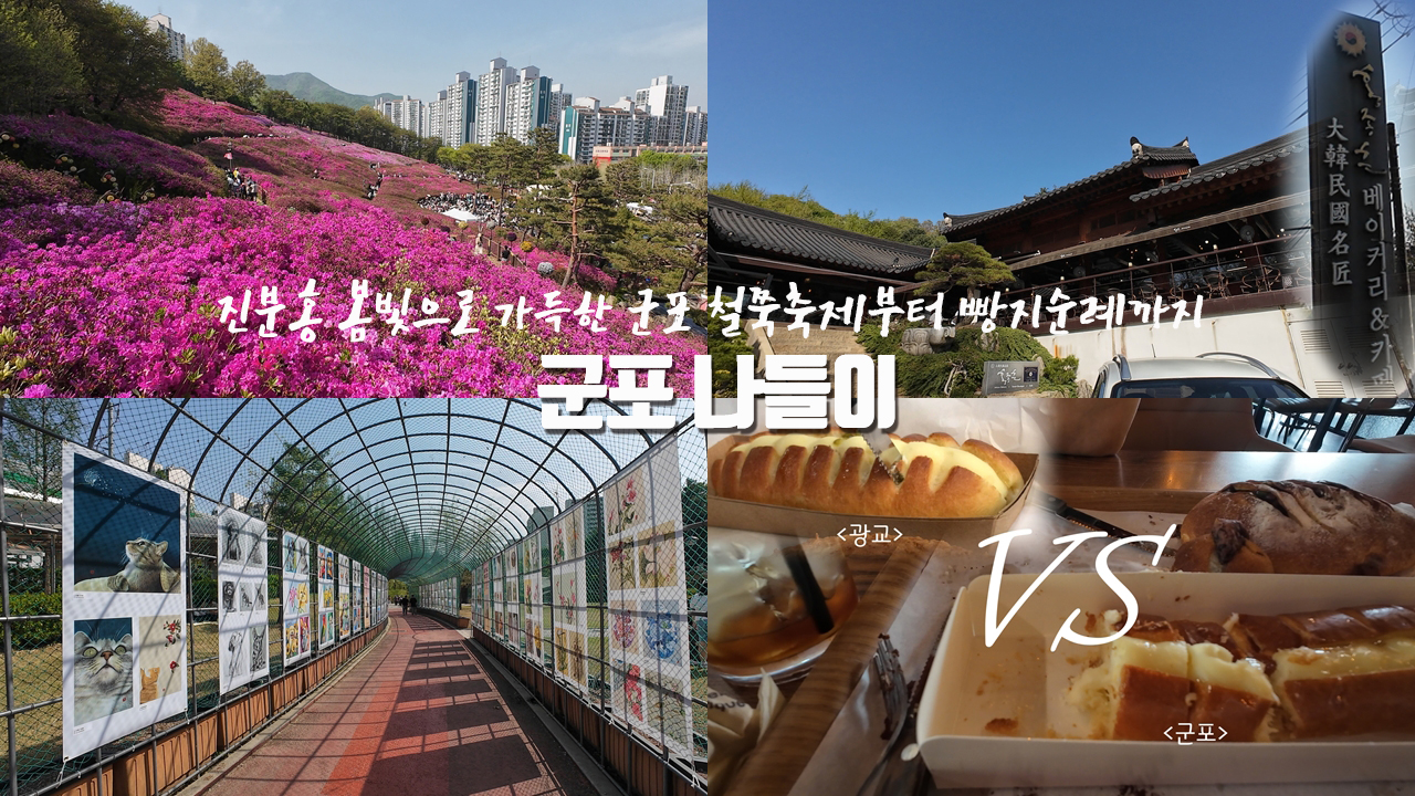 [갱년기라도 괜찮아 : 갱차나] 군포 나들이 – 군포 철쭉동산의 진분홍 봄빛 향연 | 여기가 빵집이라고? 넓은 야외 정원과 제과명장의 빵을 함께 즐길 수 있는 홍종흔 베이커리&카페