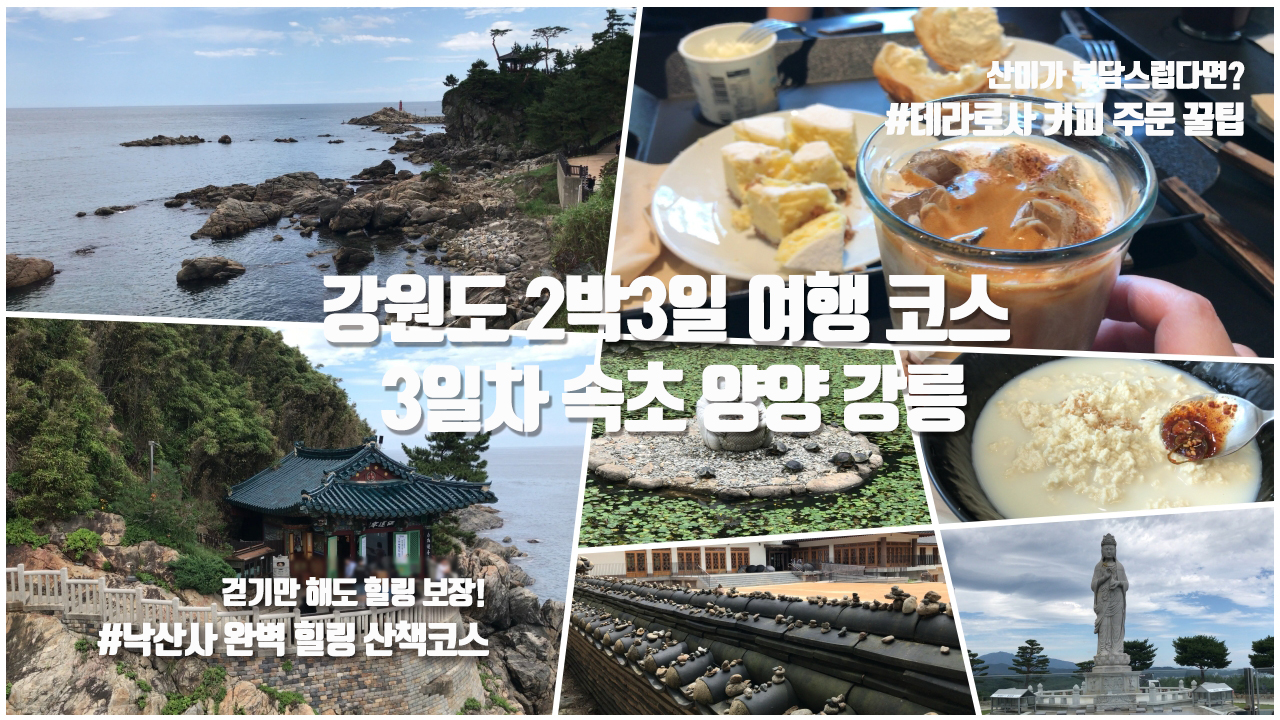 강원도 2박3일 3일차 , 속초 양양 강릉 여행코스 낙산사 완벽 힐링 산책코스 & 강릉 테라로사 본점 커피 주문 꿀팁