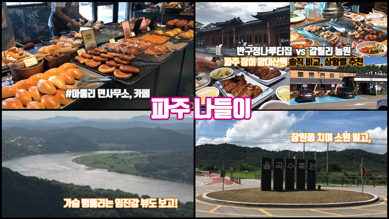 [갱차나] 장원종 치며 소원 빌고, 가슴 뻥 뚫리는 임진강 뷰도 보고! 파주 율곡수목원/파주 장어 양대산맥 갈릴리농원 vs 반구정나루터집 솔직 비교 및 상황별 추천!